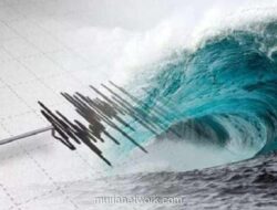 BMKG Catat Tsunami Terjang Sembilan Wilayah Usai Gempa M 7,7 di Filipina, Tertinggi 0,75 Meter