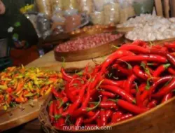 Harga Pangan Nasional Turun, Cabai dan Beras Alami Penurunan Signifikan