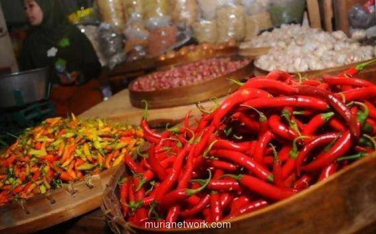 Harga Pangan Nasional Turun, Cabai dan Beras Alami Penurunan Signifikan