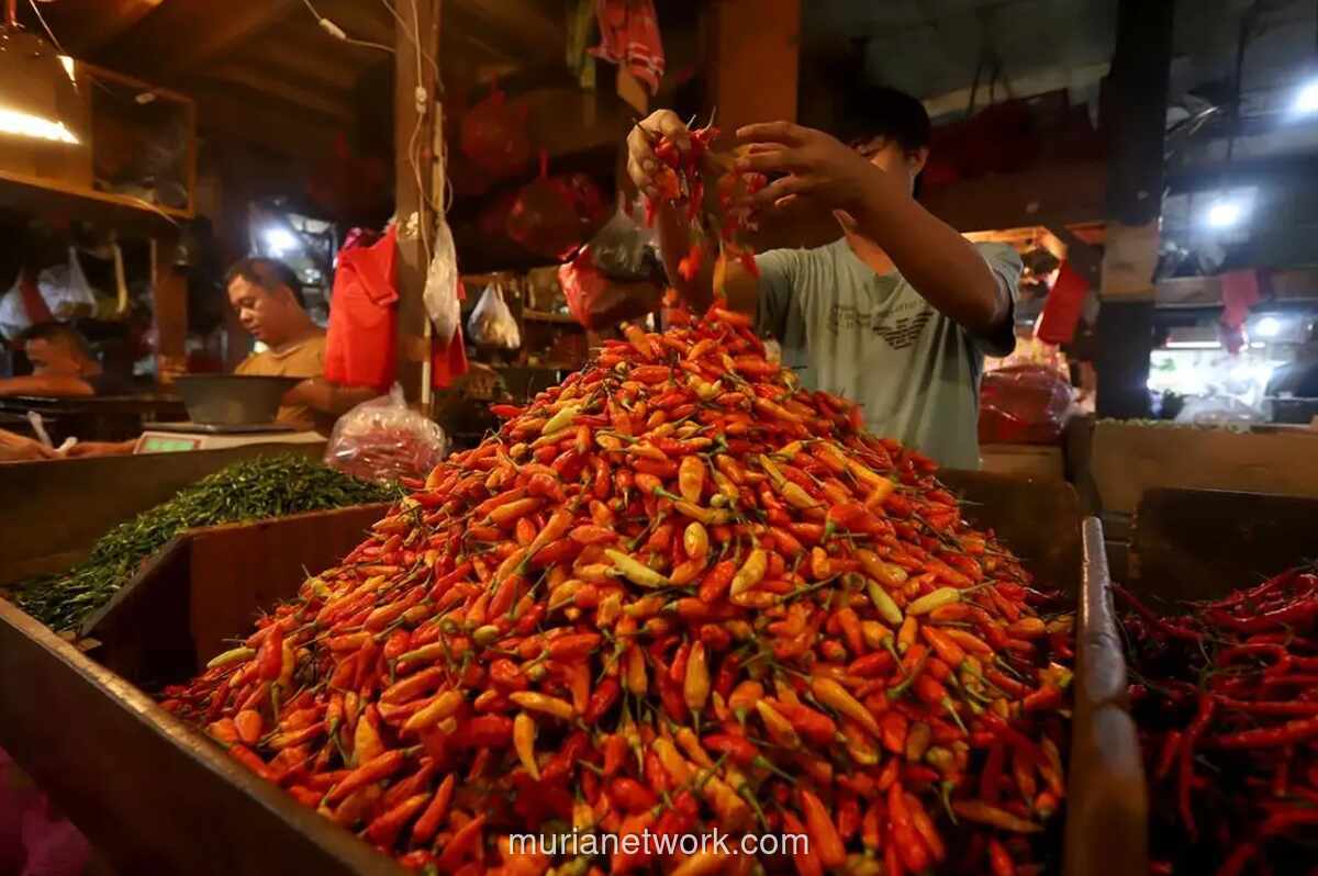 Harga Cabai Rawit di Jombang Tembus Rp100.000 Per Kilogram Pascaidul Adha