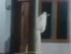 Camat Kamal Bantah Video Pocong Bercelurit yang Viral di Bangkalan, Sebut Itu Hoaks