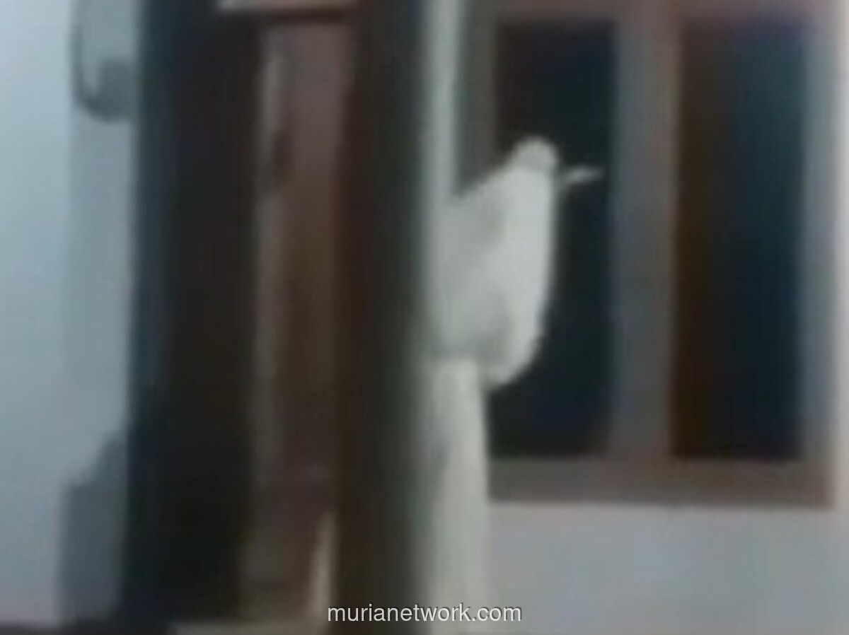 Camat Kamal Bantah Video Pocong Bercelurit yang Viral di Bangkalan, Sebut Itu Hoaks