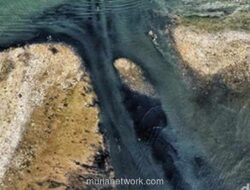 Puluhan Personel Dikerahkan Bersihkan Tumpukan Sampah Mirip Pulau di Pesisir Jakarta Utara