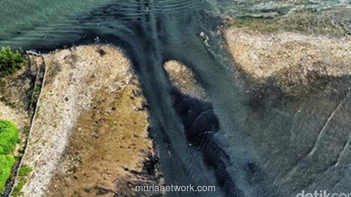 Puluhan Personel Dikerahkan Bersihkan Tumpukan Sampah Mirip Pulau di Pesisir Jakarta Utara