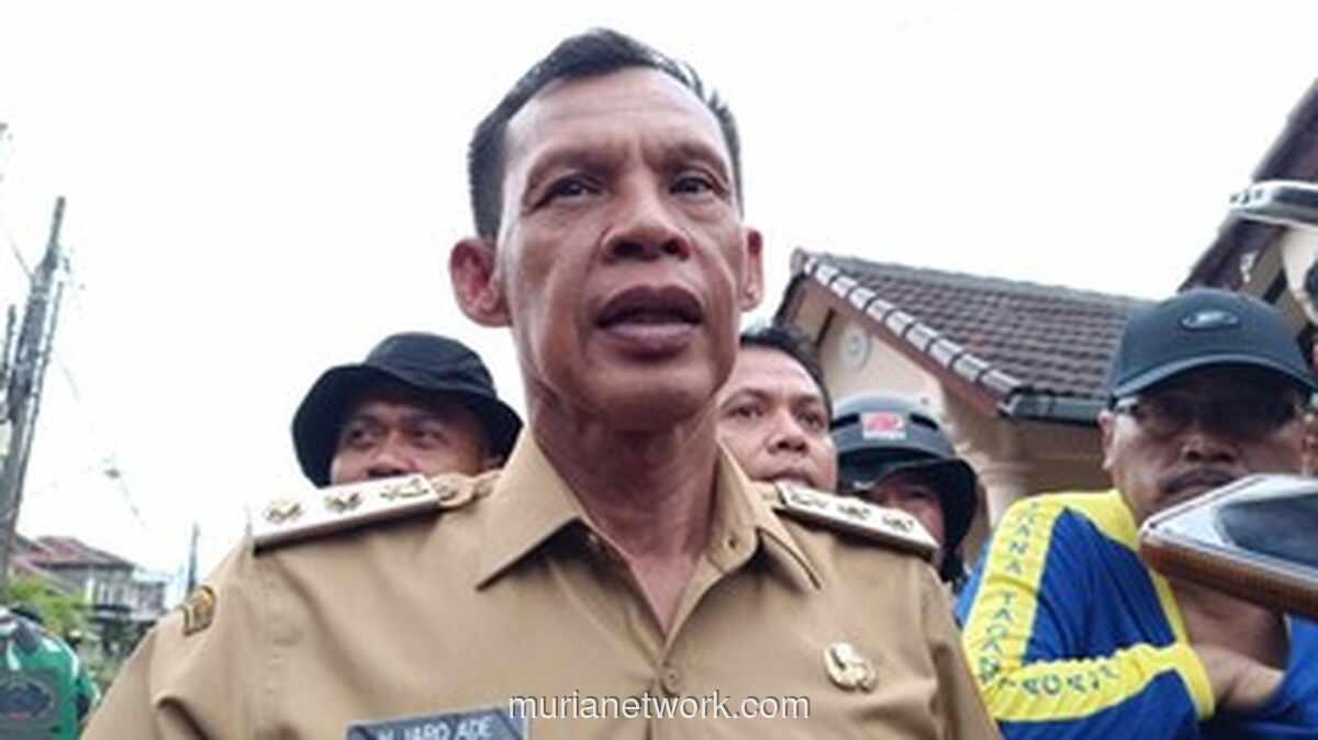 Anak 9 Tahun Tewas Digigit Anjing Pemburu Babi di Bogor, Wabup Minta Polisi Usut Tuntas