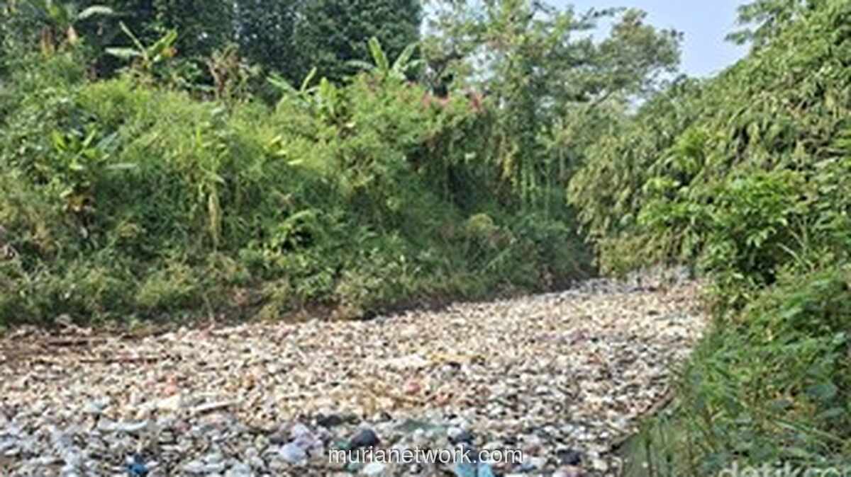 Wali Kota Serang Siapkan Sanksi Tegas bagi Warga yang Buang Sampah ke Sungai Cibanten