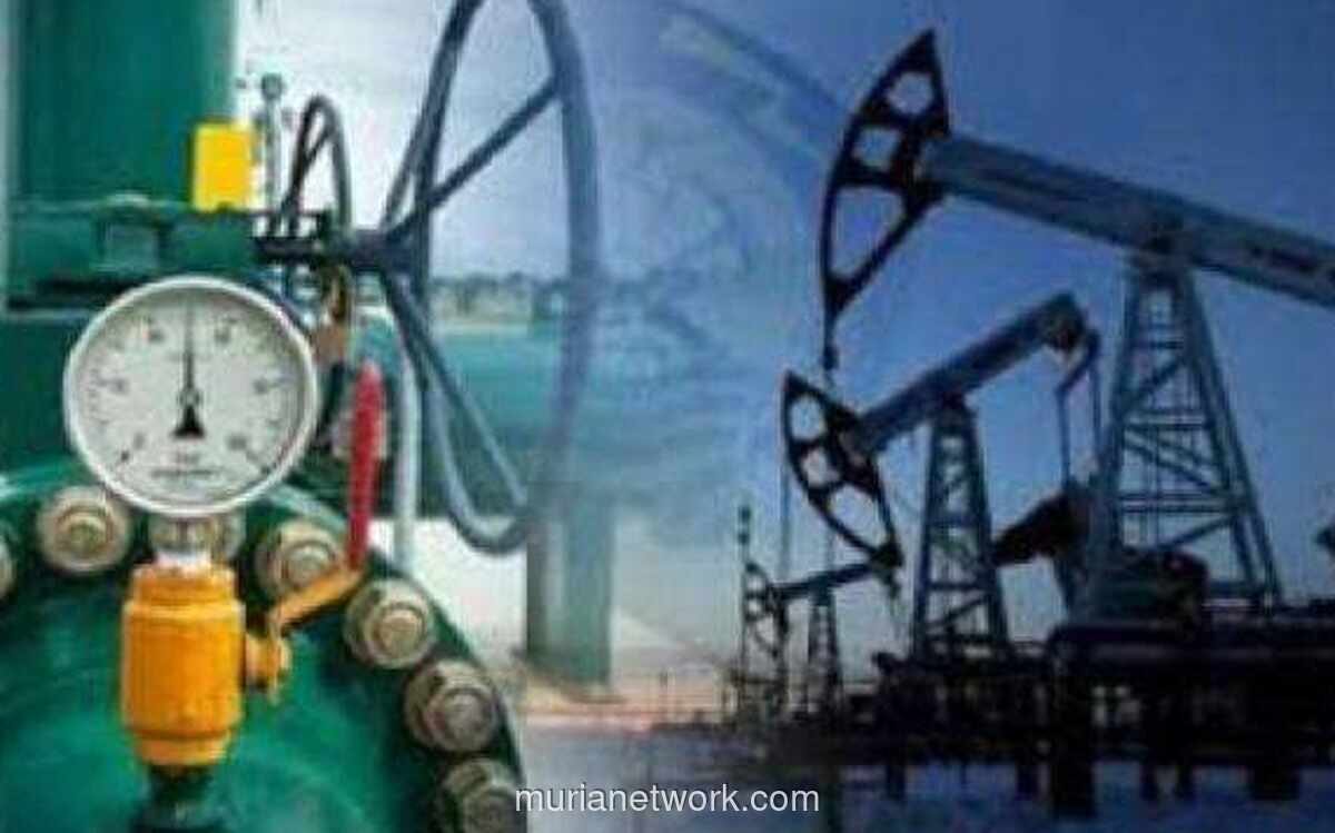 Pemerintah Pastikan Harga Gas Industri dan Listrik Tidak Naik Sepanjang 2026