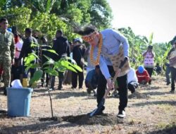 Gibran Tanam Bibit Kakao Unggulan di Papua Barat untuk Dorong Industri Kakao Nasional