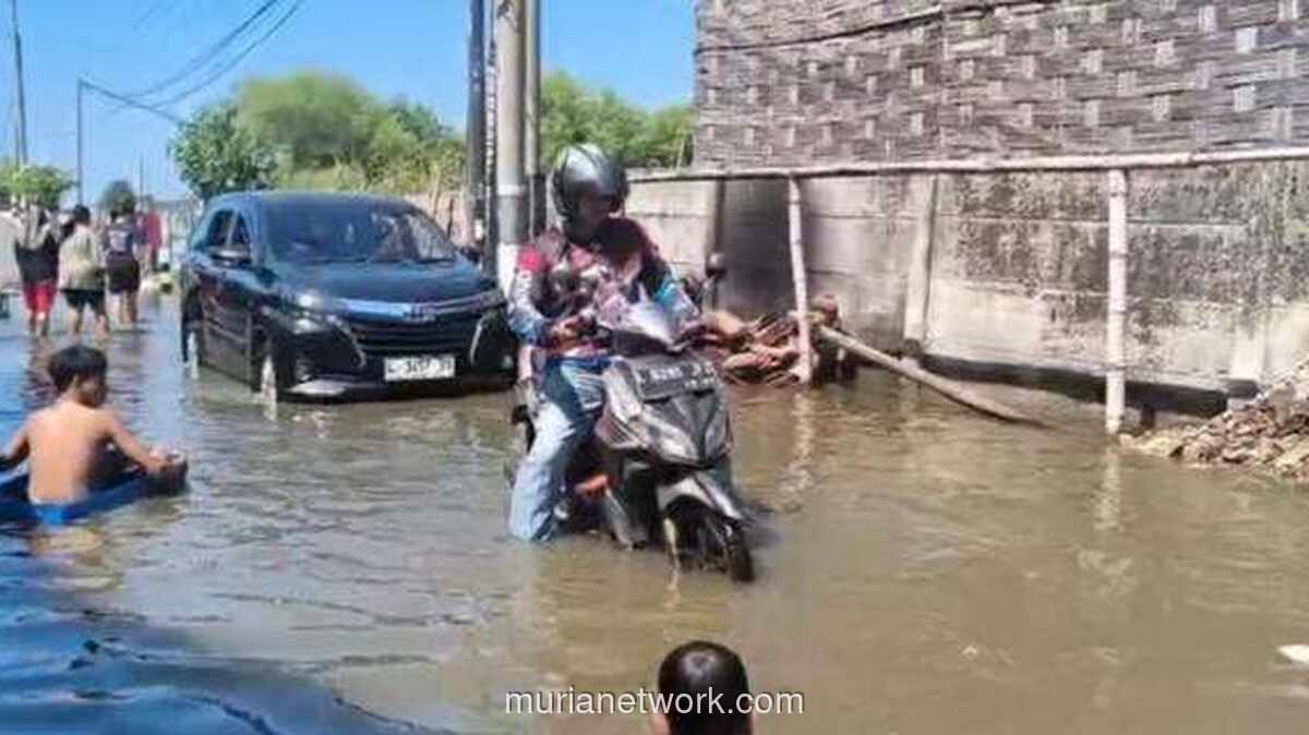 Banjir Rob Rendam Lima Desa di Sedati Sidoarjo, 500 Hektare Tambak Rusak Parah