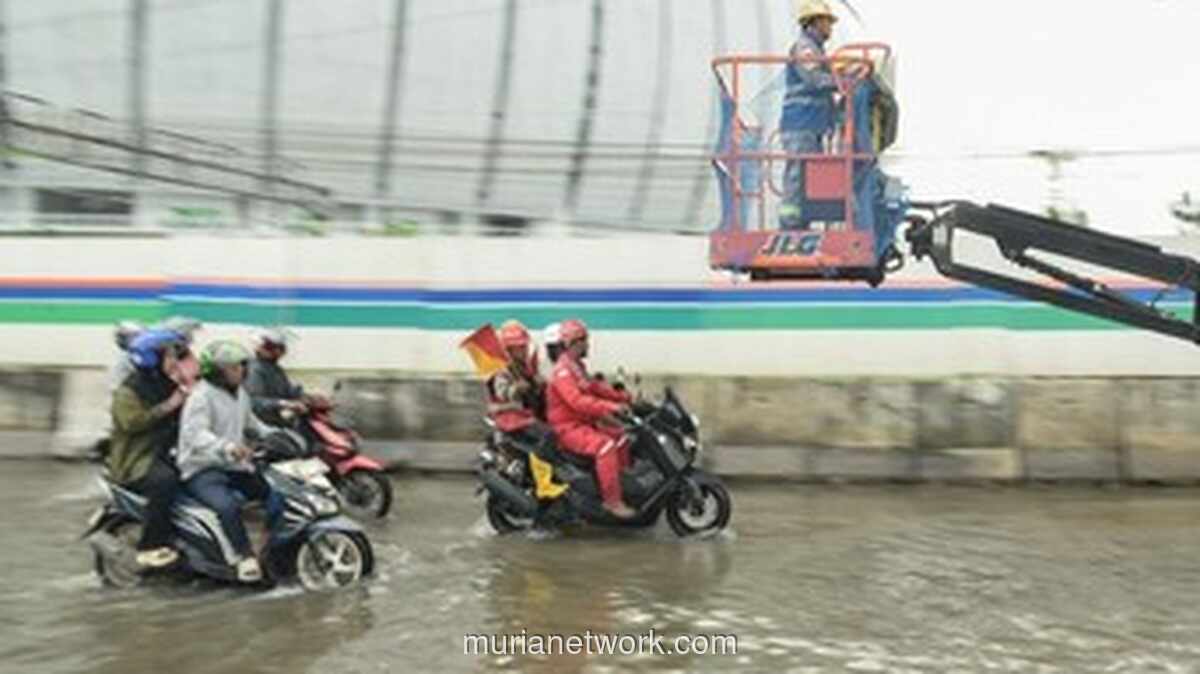 BMKG Peringatkan Potensi Banjir Rob di Sejumlah Pesisir Indonesia Akibat Fase Bulan Purnama