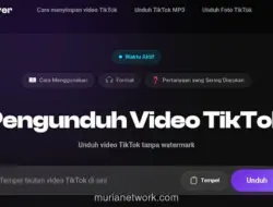 Cara Menghapus Watermark TikTok Tanpa Merusak Kualitas Video, Begini Langkahnya
