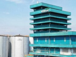 Wilmar Cahaya Indonesia Tetap Bagikan Dividen Rp150 per Saham Meski Laba Bersih Anjlok 40 Persen