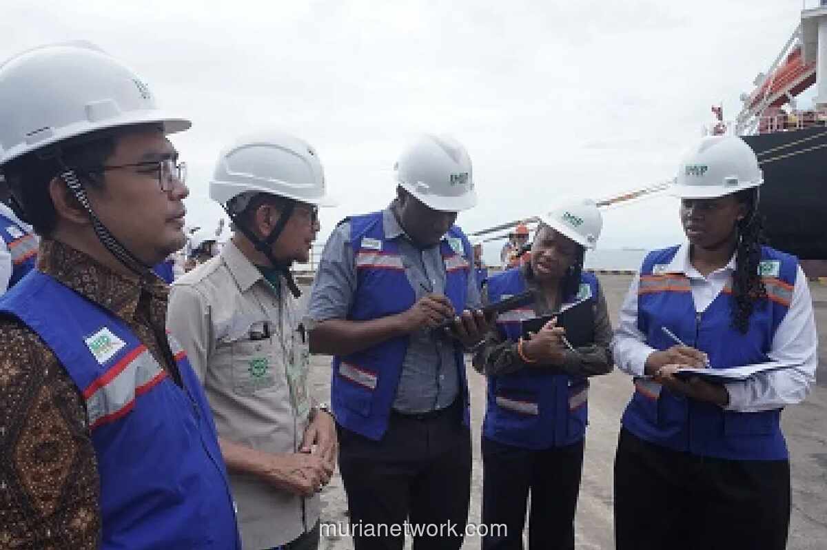 Zimbabwe Pelajari Model Kemitraan Indonesia-China di Kawasan Industri Morowali