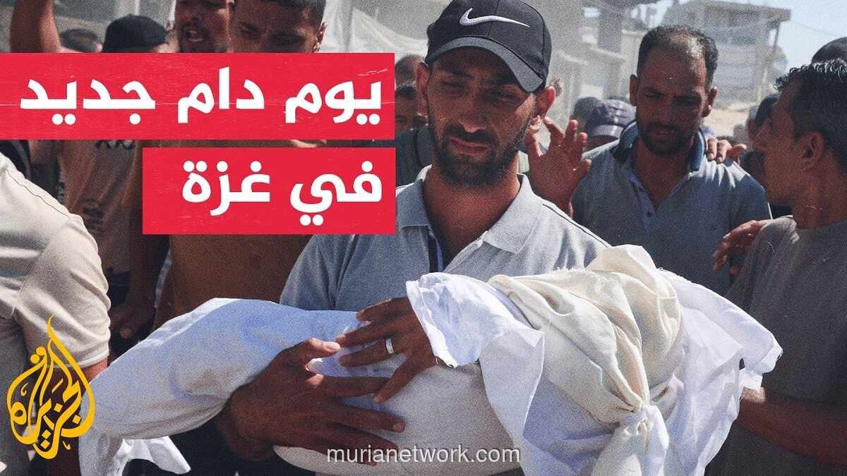 Genosida Gaza Memasuki Hari ke-1.000, Korban Tembus 73.000 Jiwa
