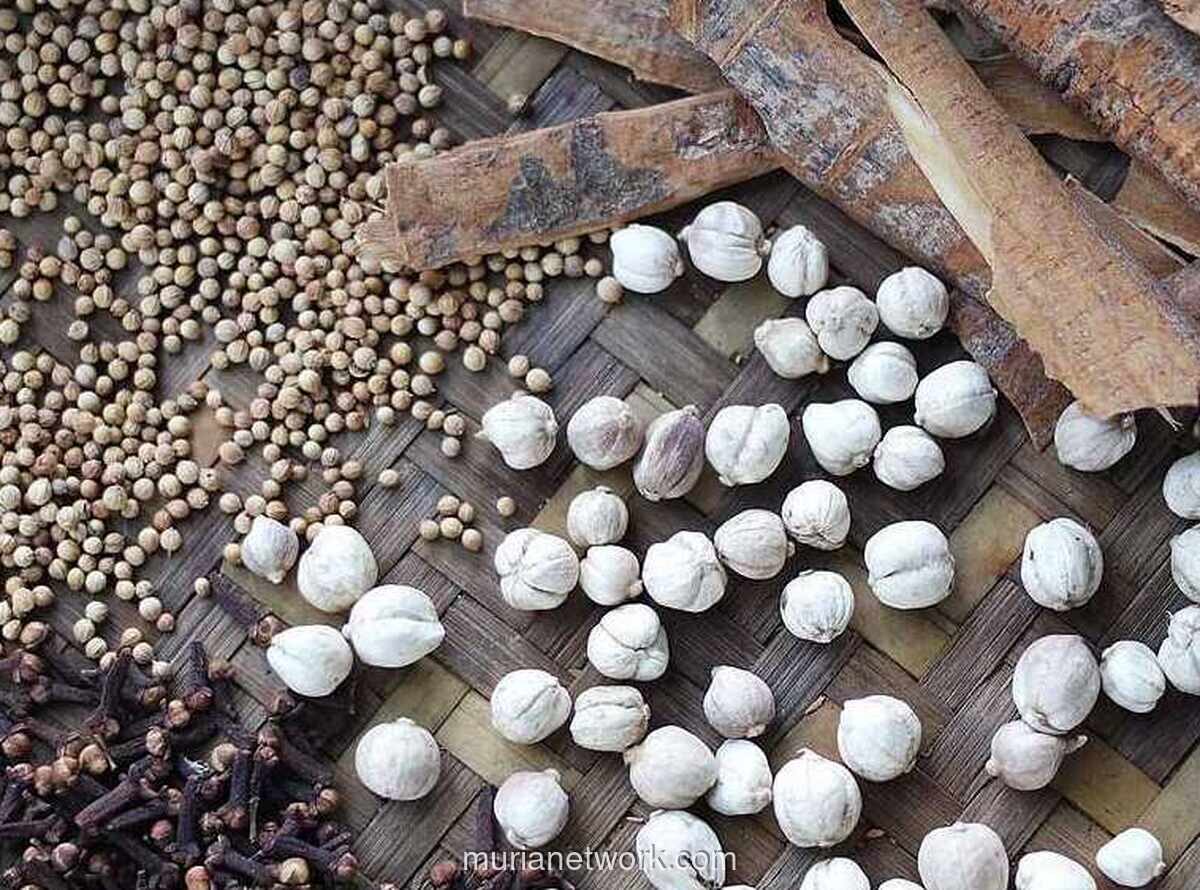 10 Rempah Andalan Nusantara yang Menghidupkan Cita Rasa Kuliner Indonesia