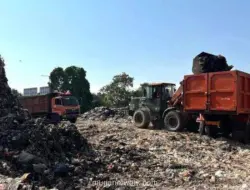 DLH Jakarta Denda Dua Perusahaan Pembuang Sampah Ilegal di Hutan Kota Penjaringan