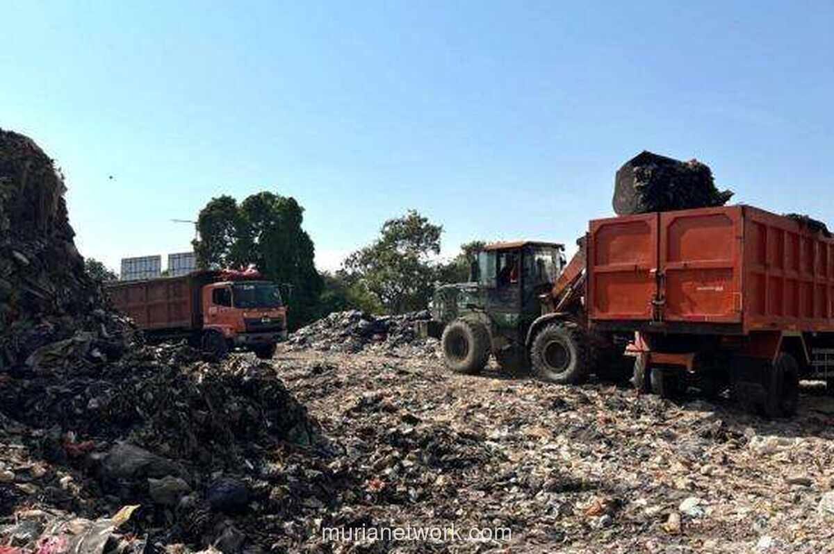 DLH Jakarta Denda Dua Perusahaan Pembuang Sampah Ilegal di Hutan Kota Penjaringan