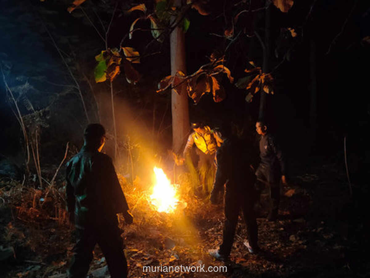 Kebakaran Hutan Perhutani di Ponorogo Hanguskan 2,3 Hektare Lahan