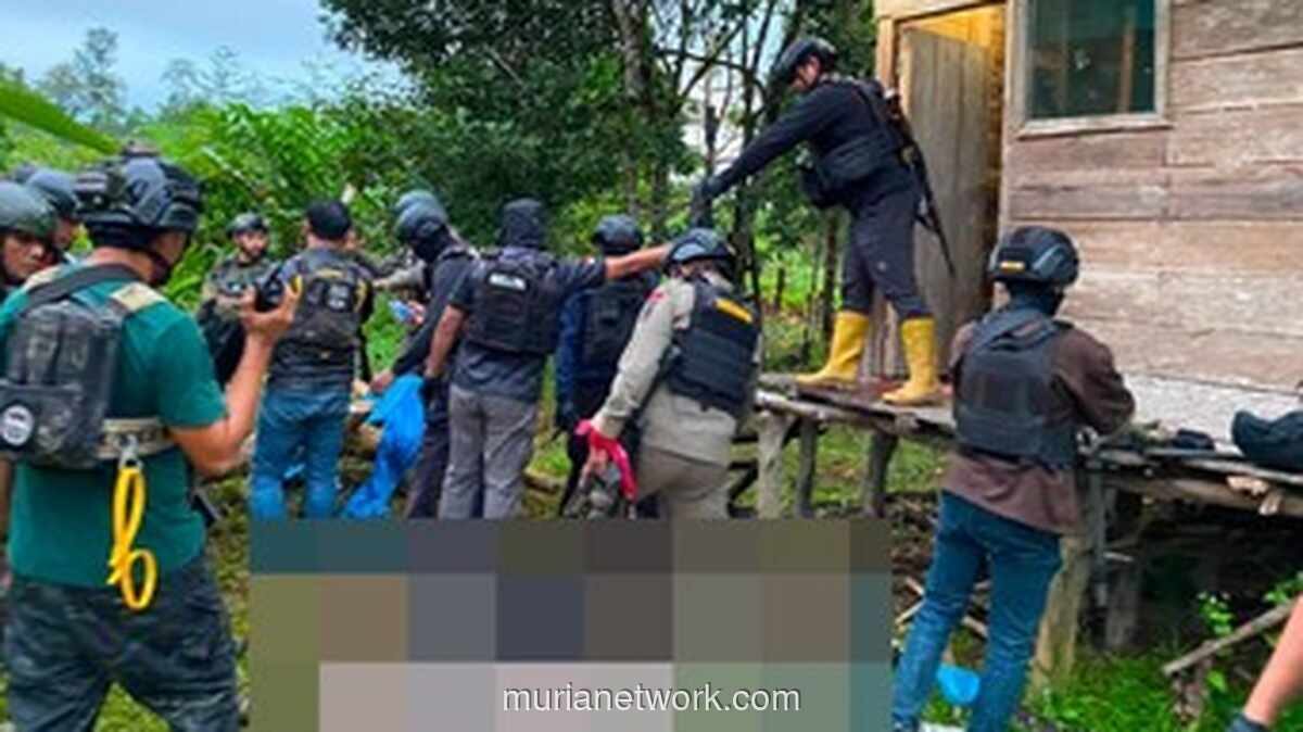 Tiga Anggota KKB Tewas dalam Kontak Tembak di Yahukimo, Senjata Api Diamankan