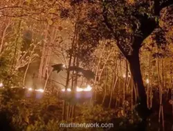 Hutan Rakyat di Ponorogo Terbakar, Diduga Akibat Puntung Rokok