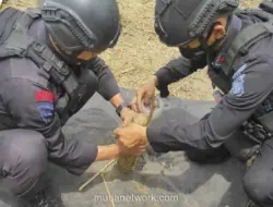 Tiga Pemulung Tewas Akibat Ledakan Mortir di Bandung Barat