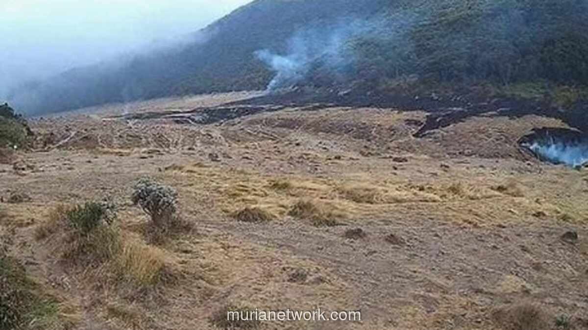 Delapan Pendaki Wanita Dievakuasi karena Kelelahan di Gunung Gede Pangrango