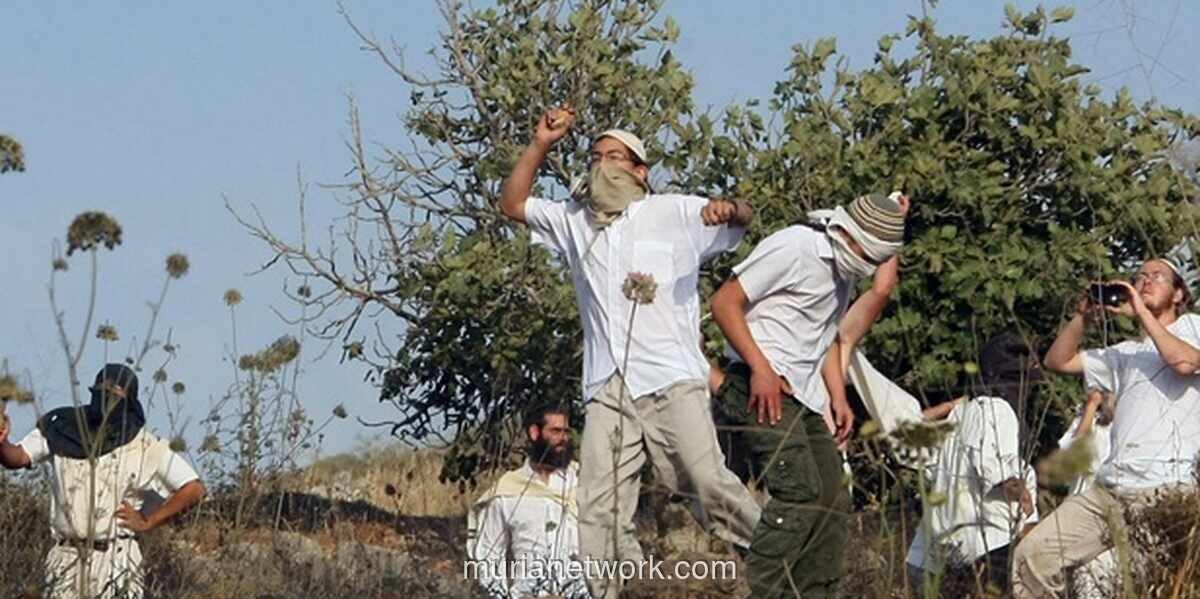 Pemukim Ilegal Israel Serang Warga Palestina dan Aktivis di Ramallah