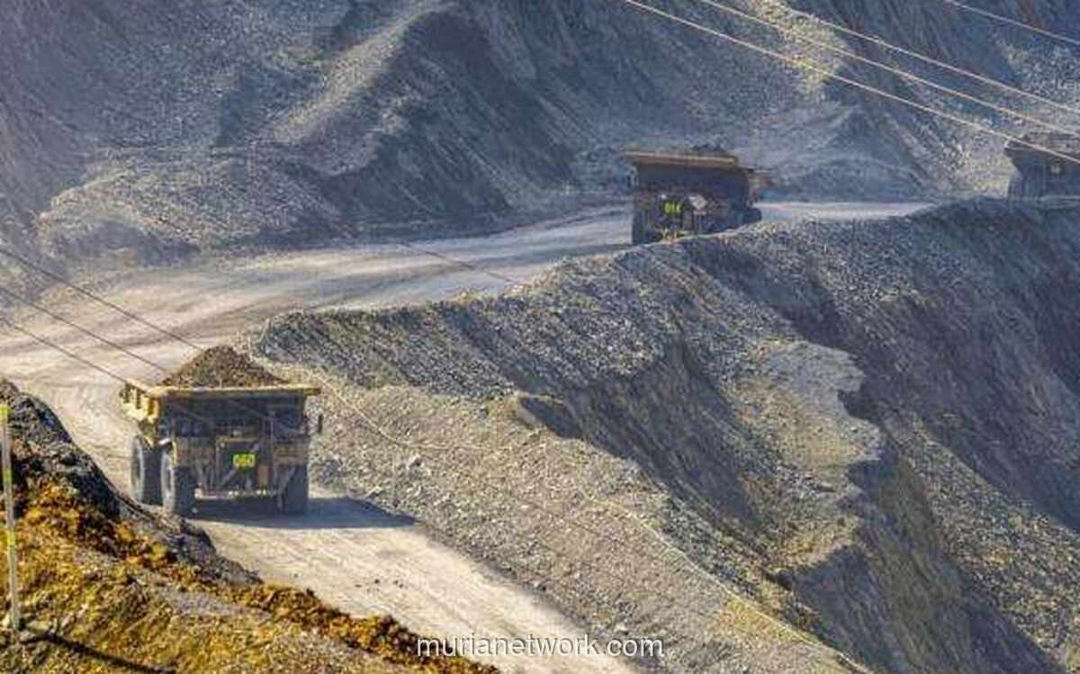 Amman Mineral Masuki Siklus Pertumbuhan Baru, Pendapatan Diproyeksikan Melonjak 117 Persen
