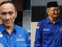 Andi Arief Sebut Ada Operasi Politik di Balik Polemik yang Menimpa Menteri PU Dody Hanggodo