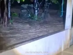 Anomali Musim Kemarau: Banjir Bandang Terjang Agam, Warga Mengungsi