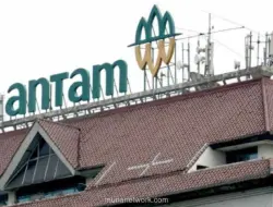 Antam Bagikan Dividen Rp5,05 Triliun, Naik 38 Persen dari Tahun Sebelumnya