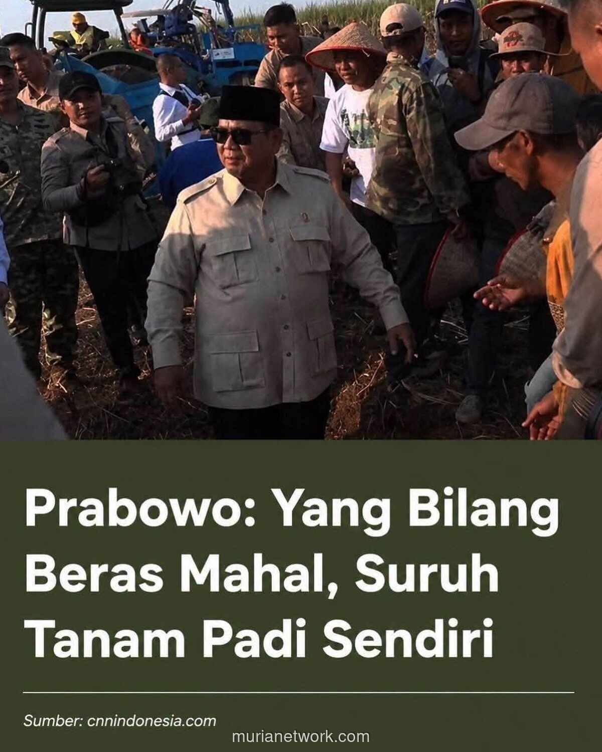 Prabowo Tantang Pengeluh Harga Beras Mahal: Suruh Tanam Padi Sendiri