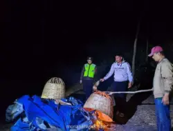 Polisi Bongkar Arena Sabung Ayam Tersembunyi di Perkebunan Singosari