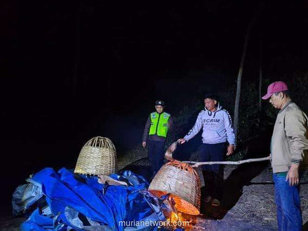 Polisi Bongkar Arena Sabung Ayam Tersembunyi di Perkebunan Singosari