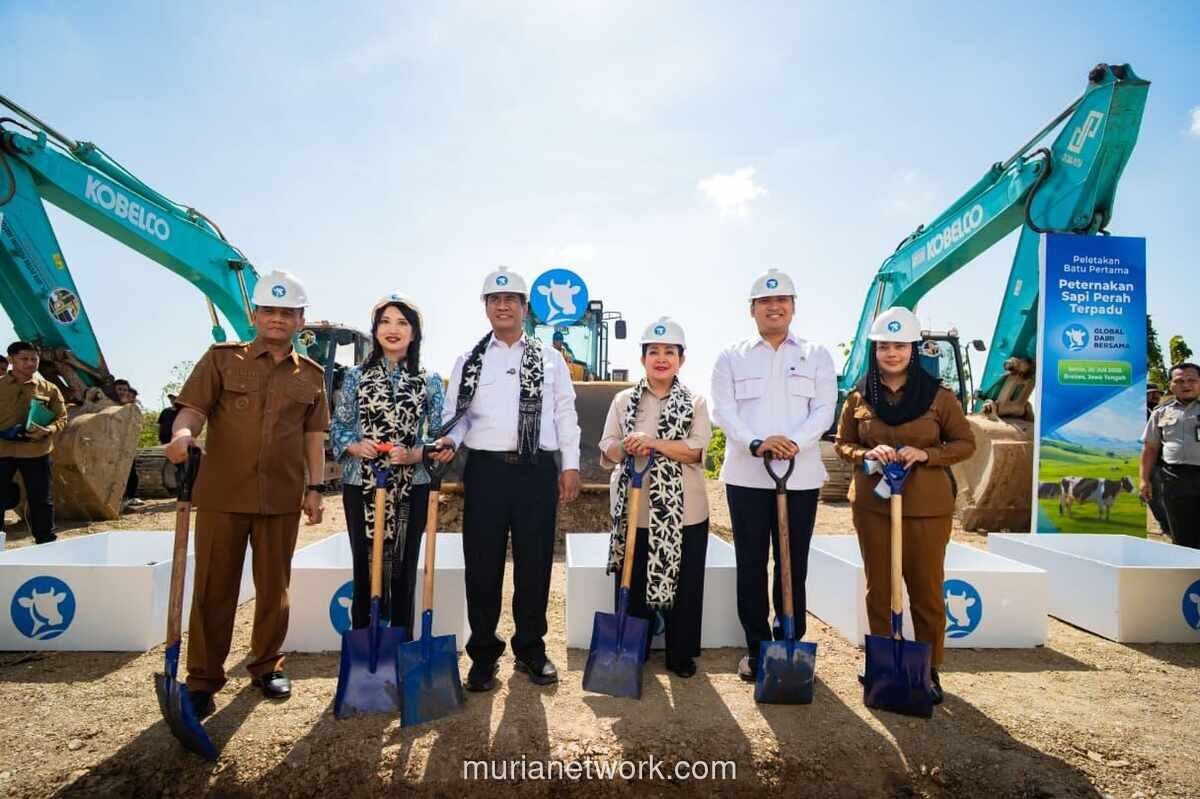 Pemerintah Bangun Peternakan Sapi Perah Terpadu di Brebes untuk Percepat Swasembada Susu