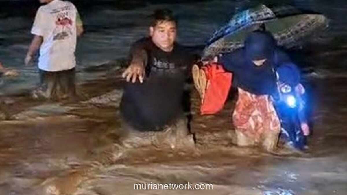 Banjir Landa Desa Cane Toa di Gayo Lues, Warga Dievakuasi