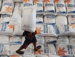 Bapanas Pastikan Stok Pangan Aman Hadapi Musim Kemarau, Beras 5,2 Juta Ton