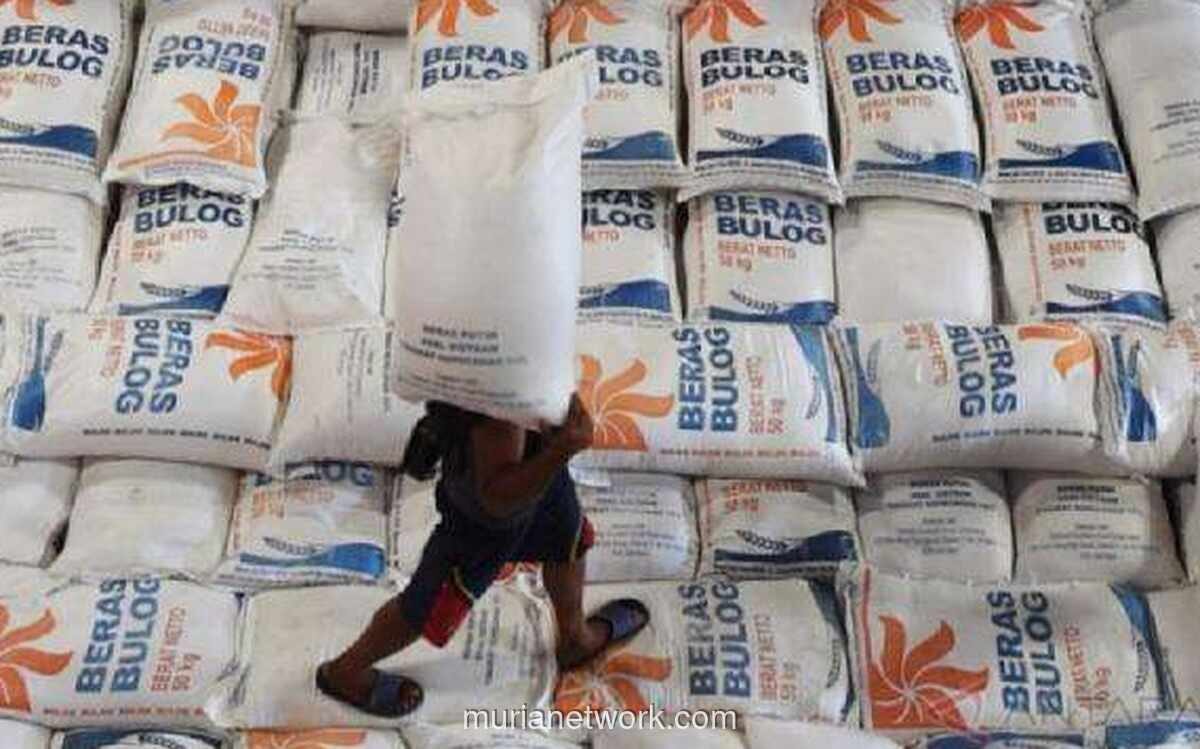Bapanas Pastikan Stok Pangan Aman Hadapi Musim Kemarau, Beras 5,2 Juta Ton