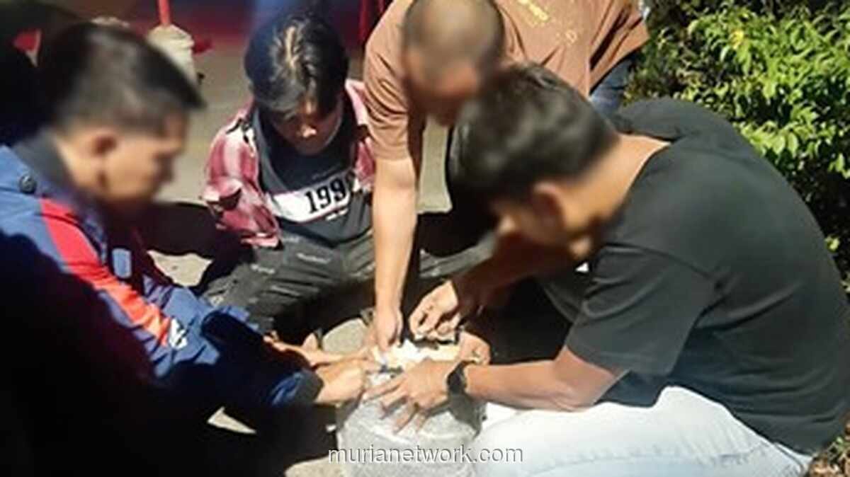 Bareskrim Bongkar Peredaran Ganja via Instagram, Dua Tersangka Ditangkap
