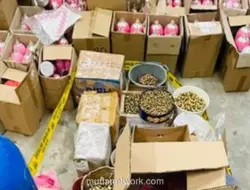Omzet Peredaran Gas N2O Whip Pink Tembus Rp5 Miliar per Bulan, Dua Zona Harga Diterapkan