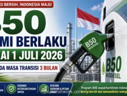 B50 Resmi Berlaku, Pemerintah Beri Masa Transisi Tiga Bulan