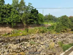 Musim Kemarau, Warga Katulampa Keluhkan Sumur Kering dan Debit Ciliwung Menyusut