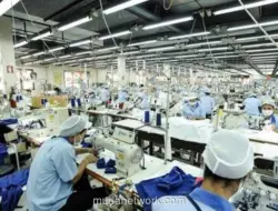 BI Catat Penyerapan Tenaga Kerja Melambat pada Triwulan II-2026