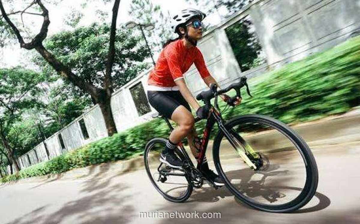 BIKE Ganti Nama Jadi Bhineka Inovasi Ketahanan Energi, Beralih dari Sepeda ke Energi dan Data