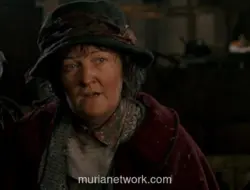 Brenda Fricker, Pemeran Pigeon Lady di Home Alone 2, Meninggal di Usia 81 Tahun