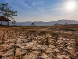 BMKG: 60,5 Persen Wilayah Indonesia Masuk Musim Kemarau, El Niño Masih Bertahan