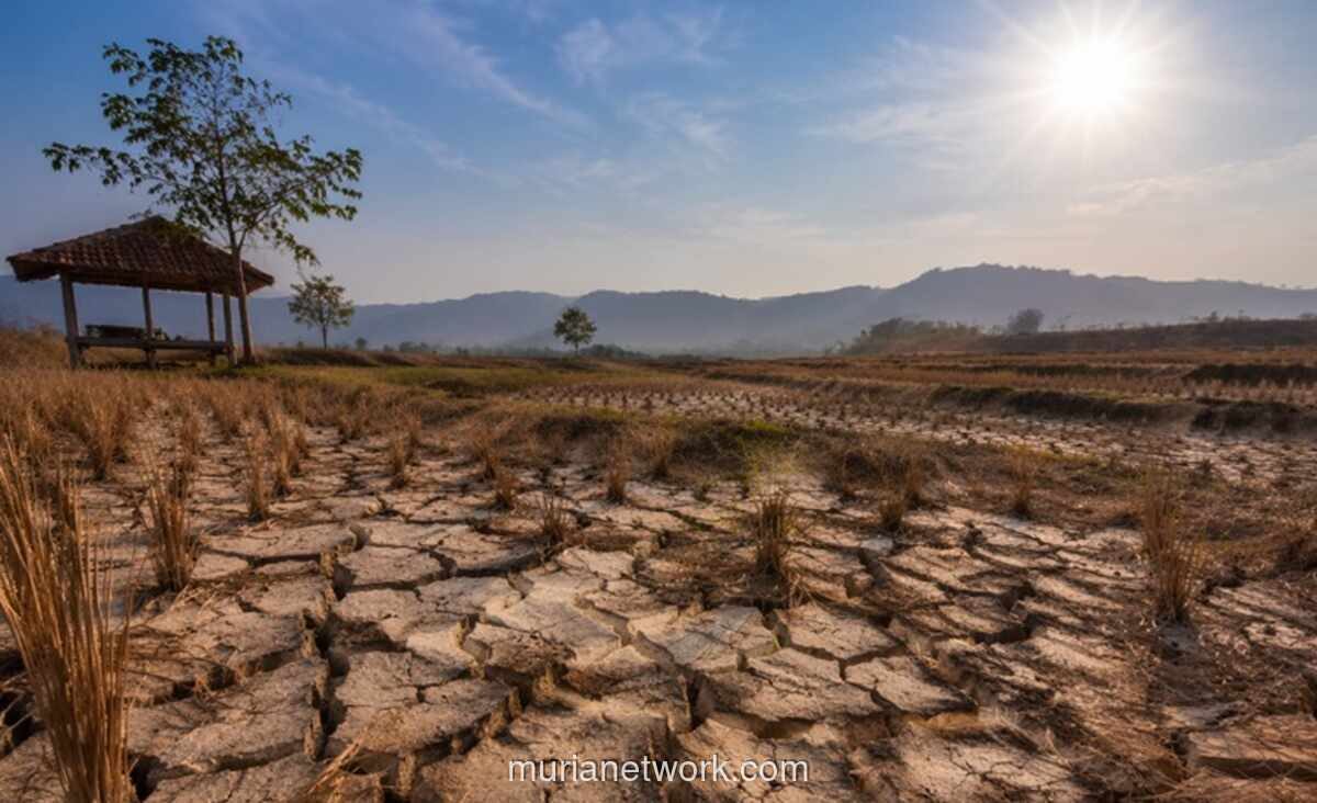 BMKG: 60,5 Persen Wilayah Indonesia Masuk Musim Kemarau, El Niño Masih Bertahan