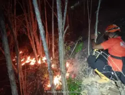 BMKG Waspadai 4.900 Titik Panas Jelang Puncak Kemarau, Karhutla Mengintai