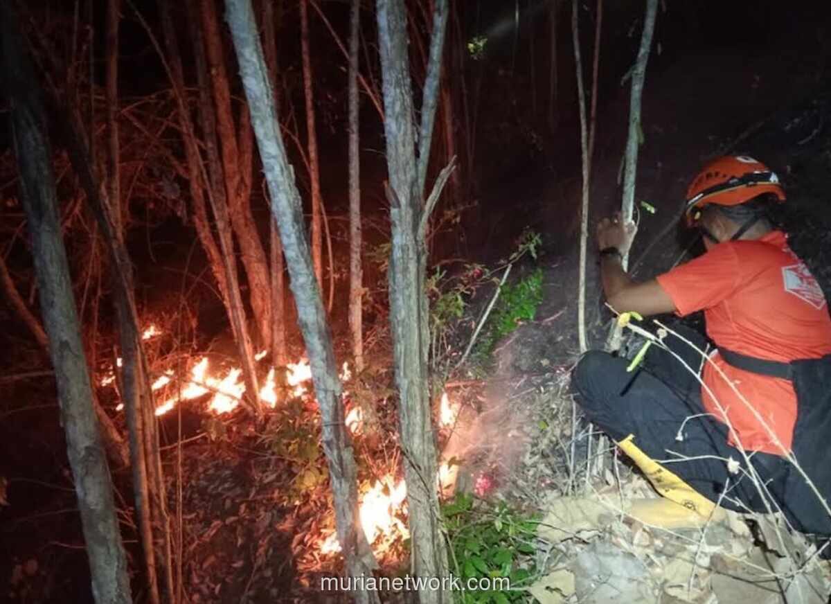 BMKG Waspadai 4.900 Titik Panas Jelang Puncak Kemarau, Karhutla Mengintai