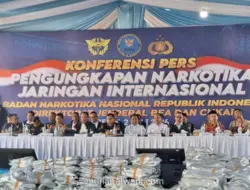 BNN Gagalkan Penyelundupan 3,37 Ton Ganja dari Thailand, Hendak Diolah Jadi Cairan Vape